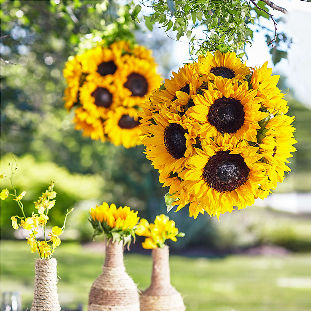 Sublime Garden Hanging Arrangement –  New Rochelle Florist, New Rochelle NY