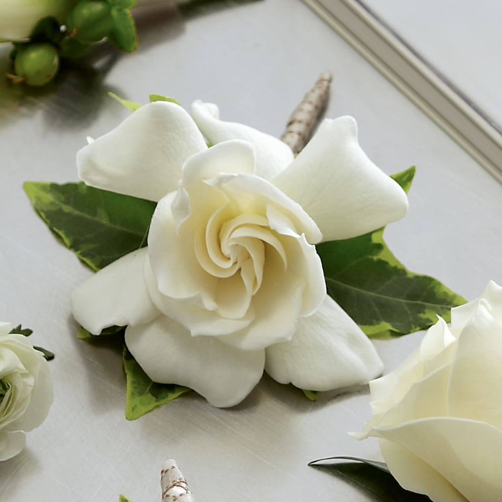 Gardenia Boutonniere –  New Rochelle Florist, New Rochelle NY