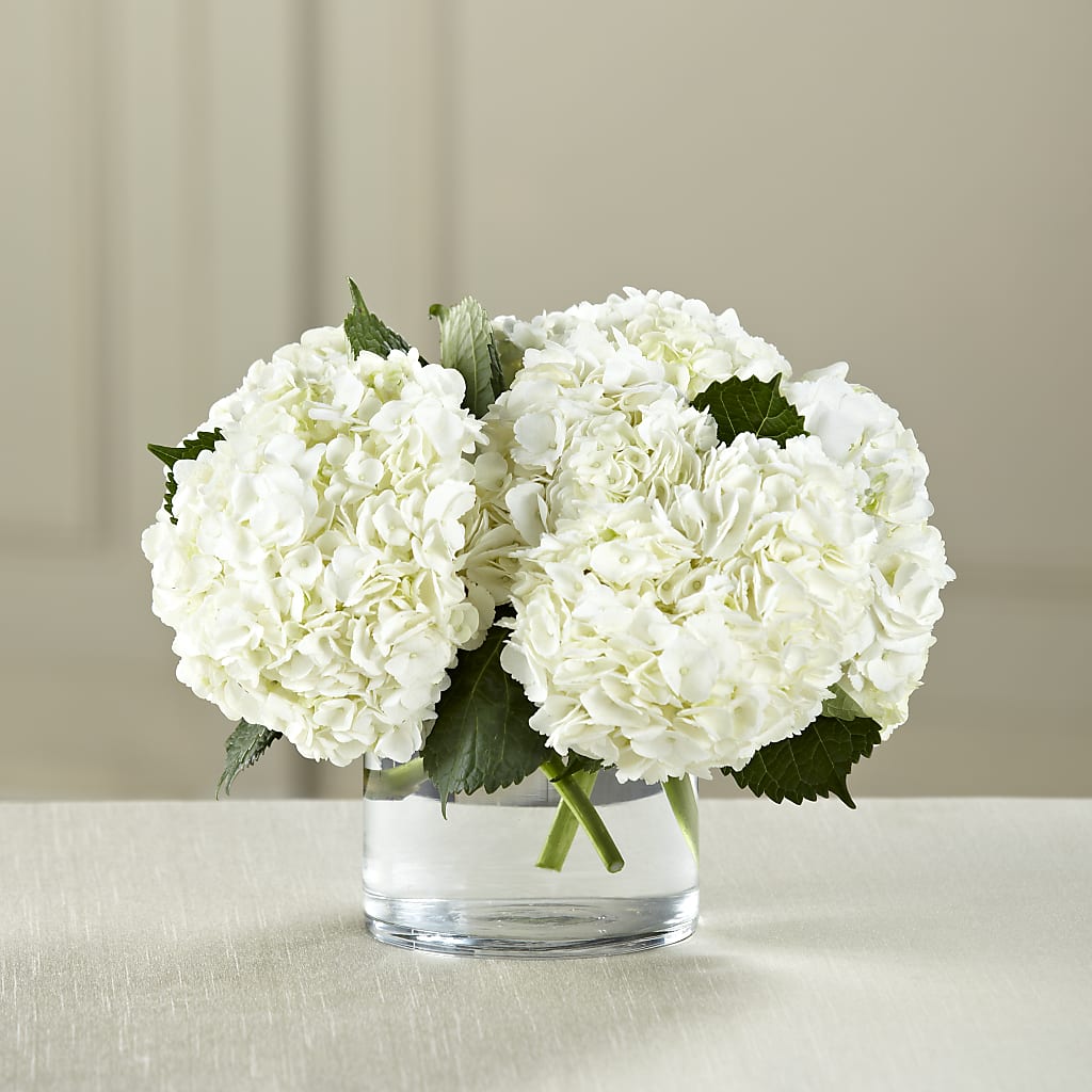White Hydrangea Bouquet –  New Rochelle Florist, New Rochelle NY