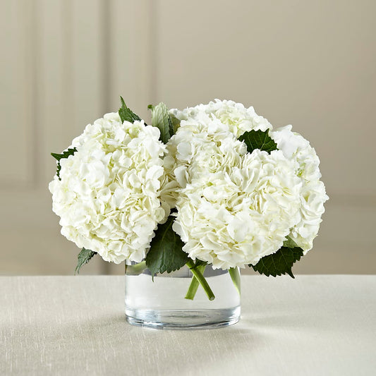 White Hydrangea Bouquet –  New Rochelle Florist, New Rochelle NY